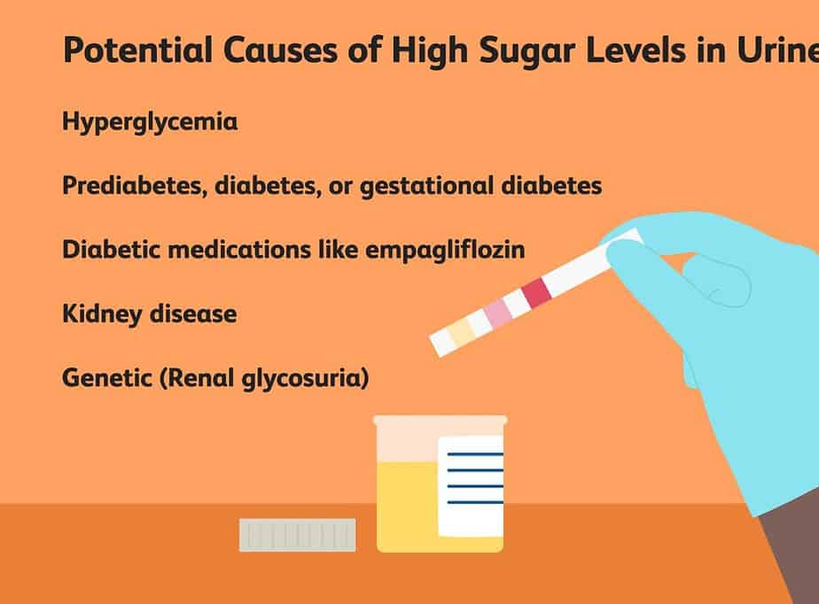 The Diabetes Hypothesis