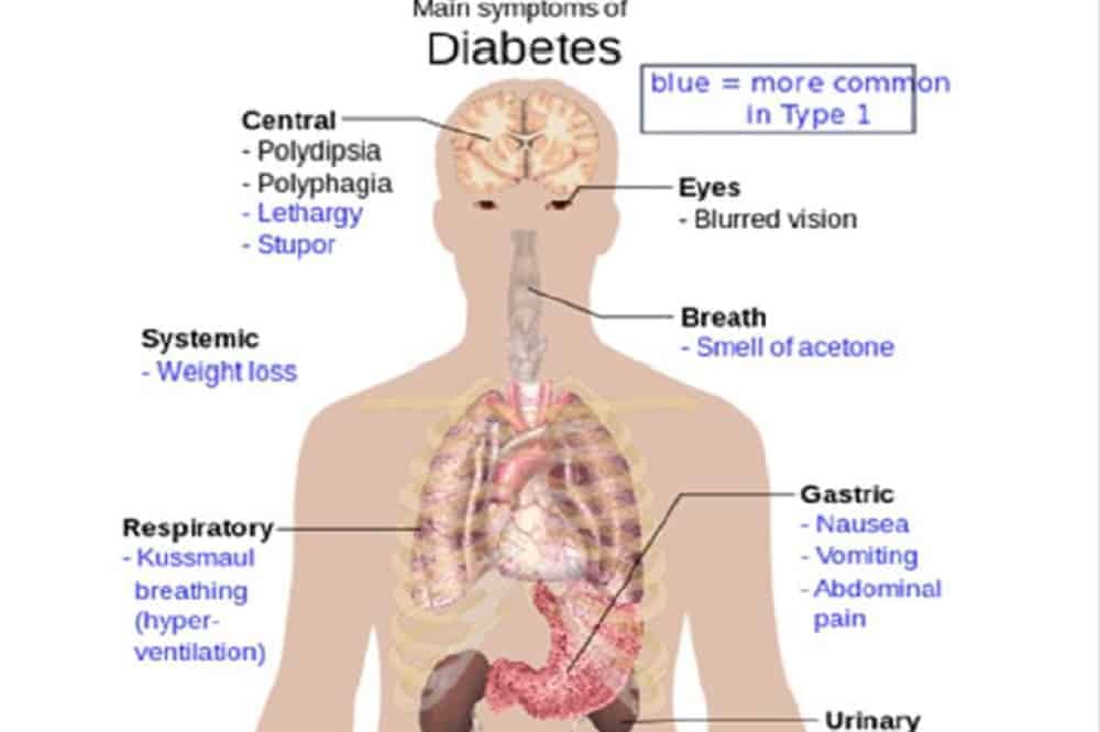 Diabetes Hypothesis