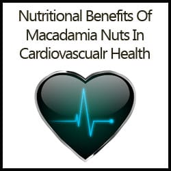Macadamia Nuts In Cardiovascular Health