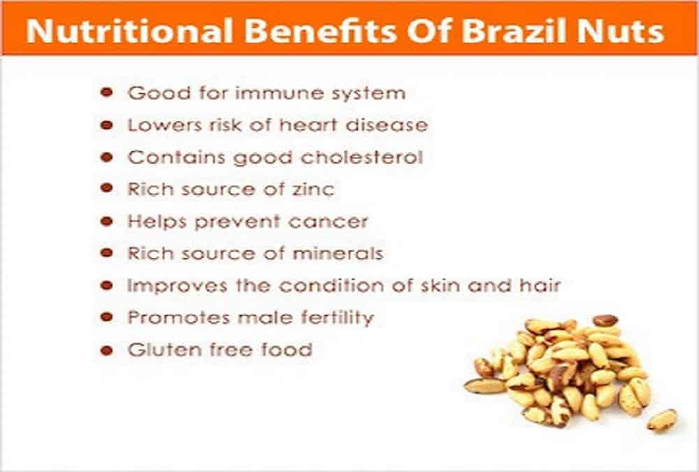 Nutritional Benefits Of Brazil Nuts