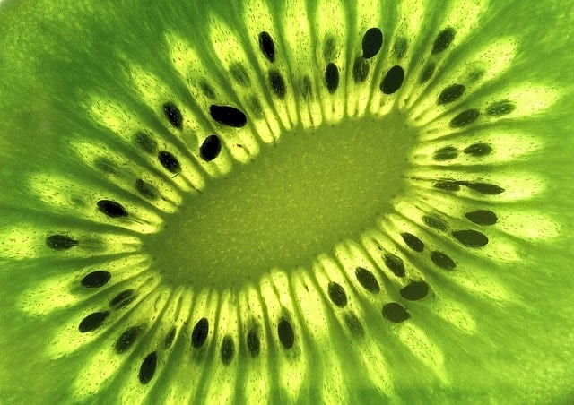 A View On The Inside Of A Kiwi
