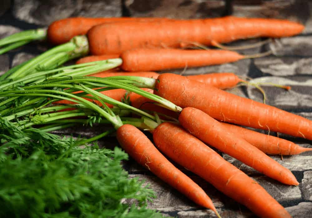 Carrots Vegan Lifestyle