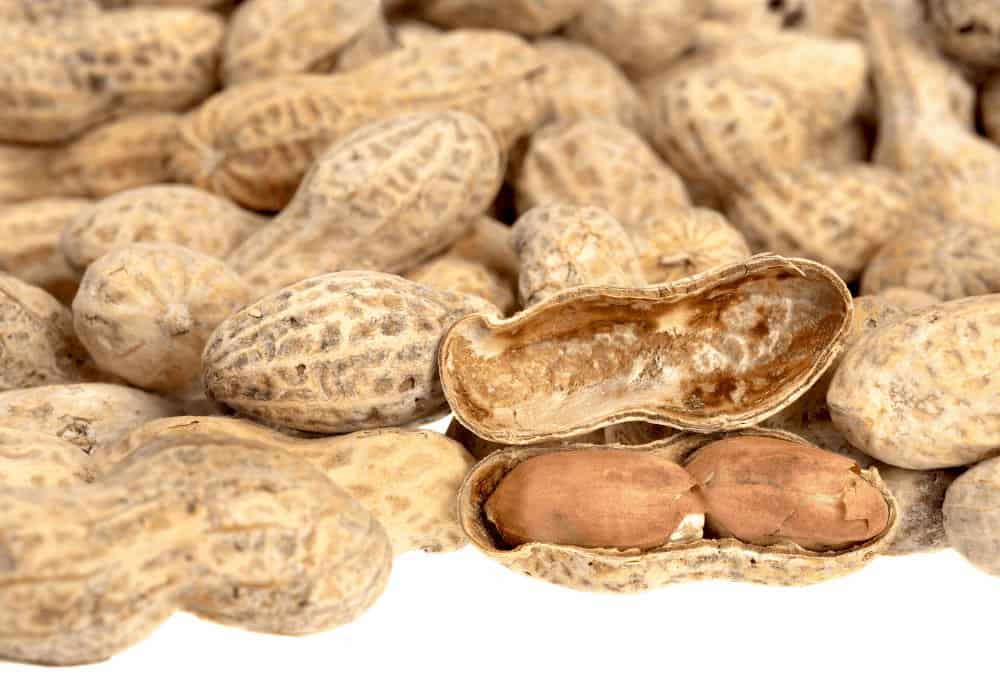 Where Peanuts Come From Shelled