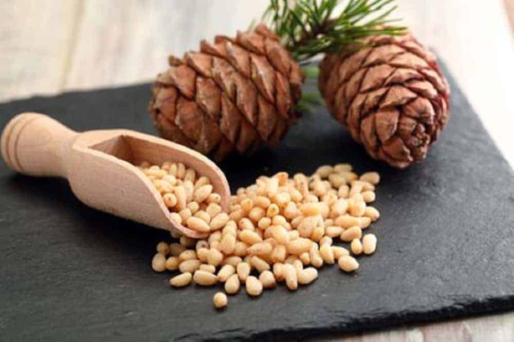 The History Of Pine Nuts