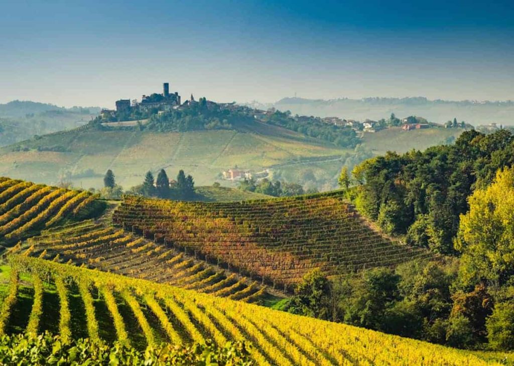 Langhe Vineyards of Piedmont Italy Relanghe