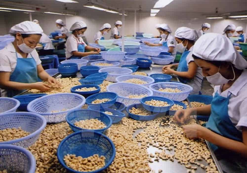 Cashew Prices Set To Rise