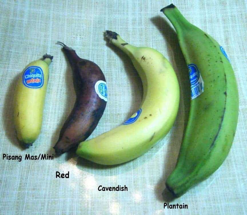 Varieties Of Banana Grown In South America
