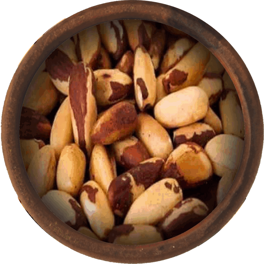 Organic Brazil Nuts - The Source Bulk Foods Shop