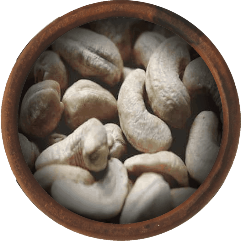 Bulk Raw Cashews Wholesale And Fresh Cashews
