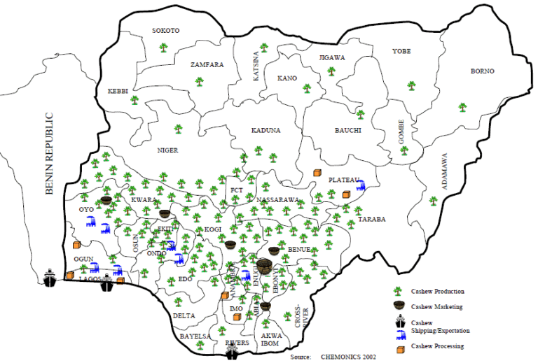 Throughout Africa History And Expansion Of The Cashew Economy