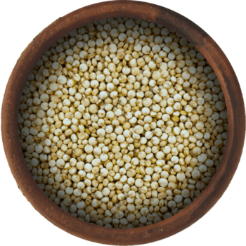 Bulk Quinoa Seeds