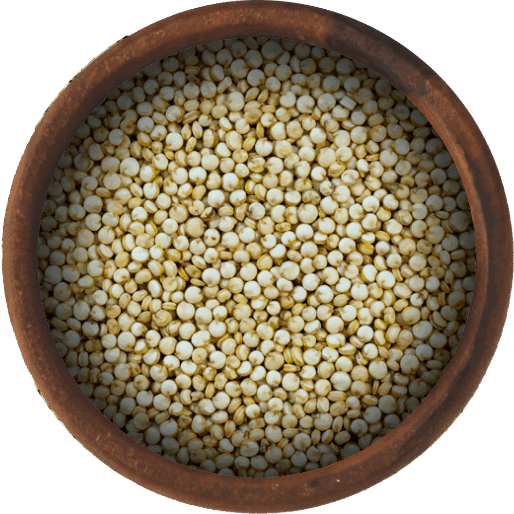 Bulk White Quinoa Seeds