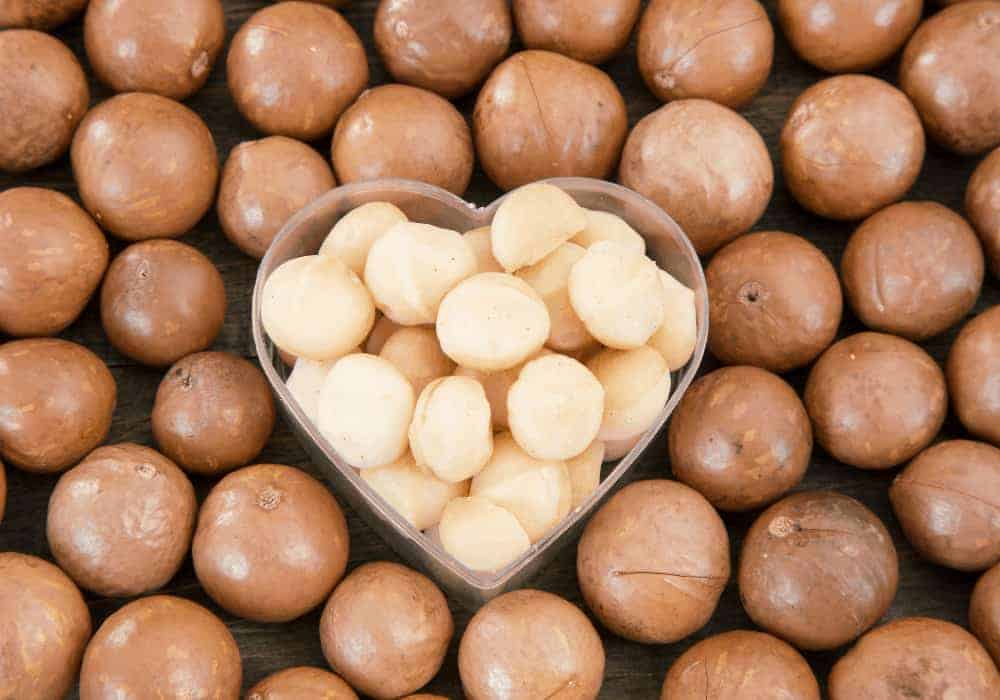 History of the Macadamia Nut