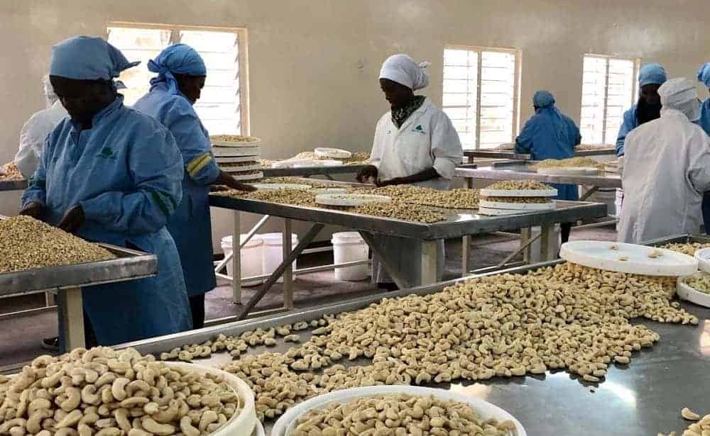 Kenya Nut Company
