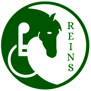 Reins charity, charity donations
