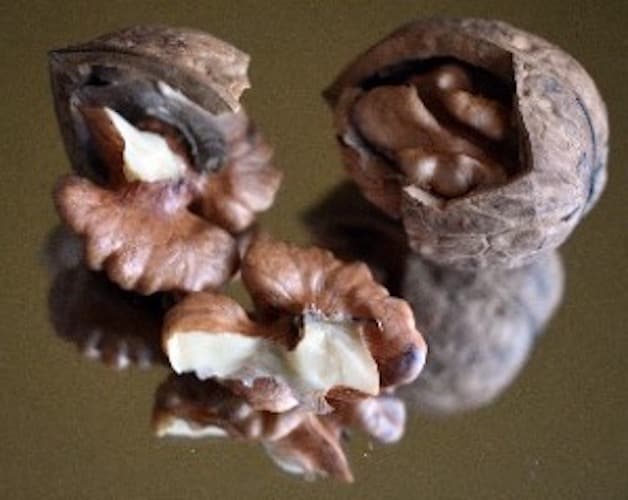 Broken walnuts and their shell