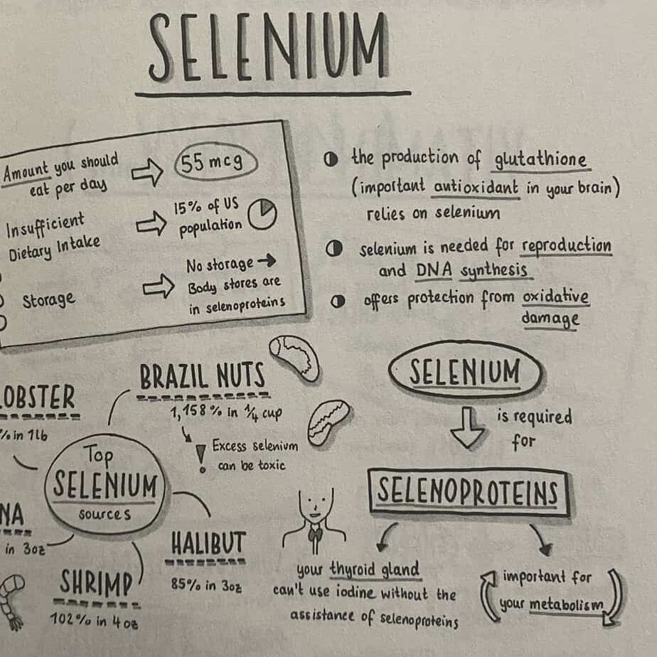 Selenium In Brazil Nuts Good For Brain Health