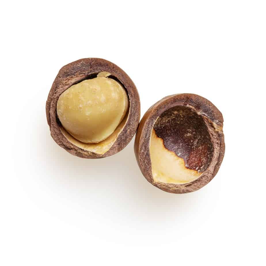 How To Crack Macadamia Nuts