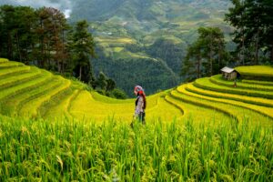Climate Change Effect On Nut Production