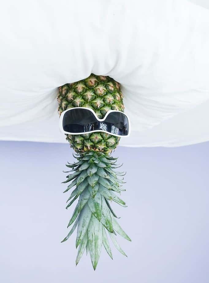 Upside Down Pineapple A Symbol For Swingers In The Colonies