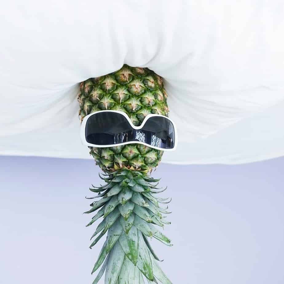 Pineapples-In-Sunglasses-Looking-Cool