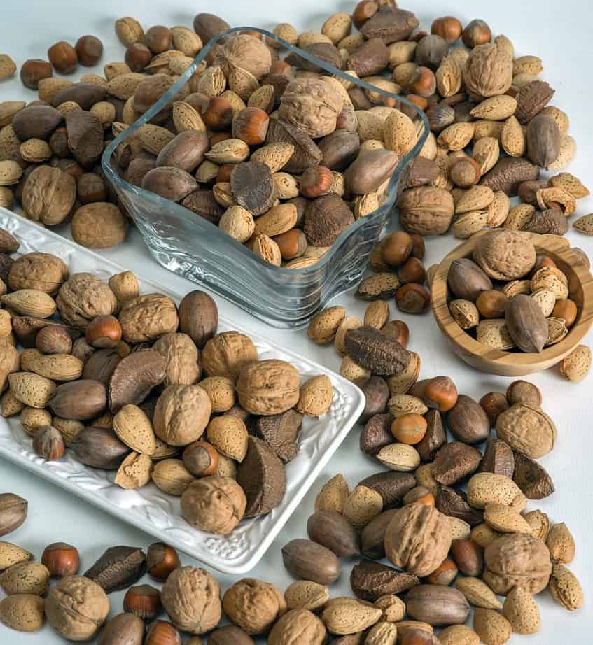 Brazil Nut Production