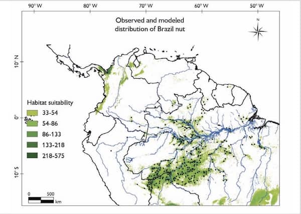 Distribution Of Suitable Habitat Of Brazil Nut Growth