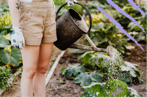 Got a year round gardening plan