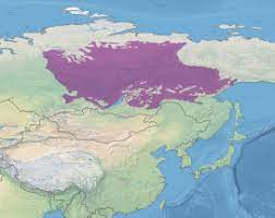 East Siberian Tiaga Region