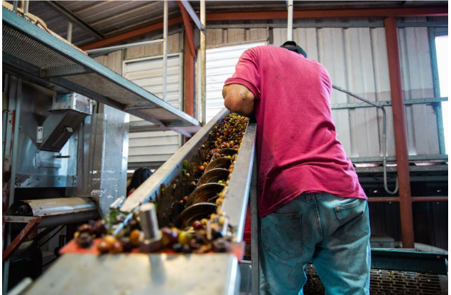 Relanghe A Hazelnut Candy Company