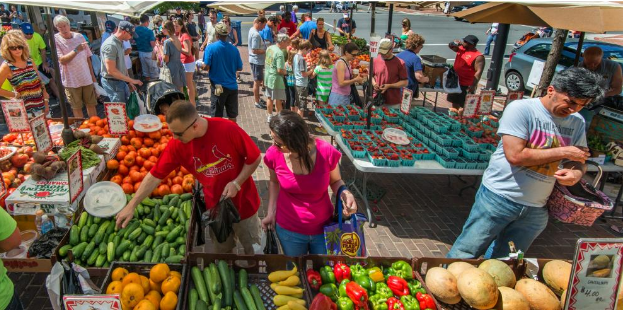 Your Farmers Market Questions Answered