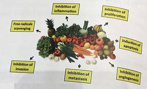 Benefits Of Fresh Food On Prostate Cancer, natural agents for prevention.