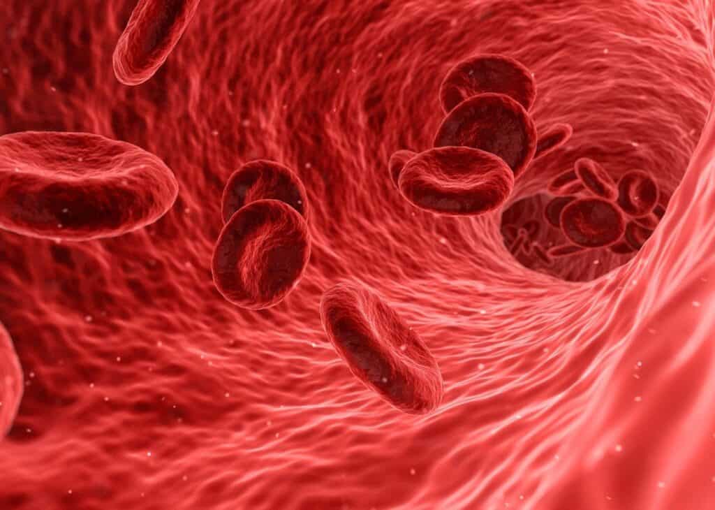 blood cells moving through veins