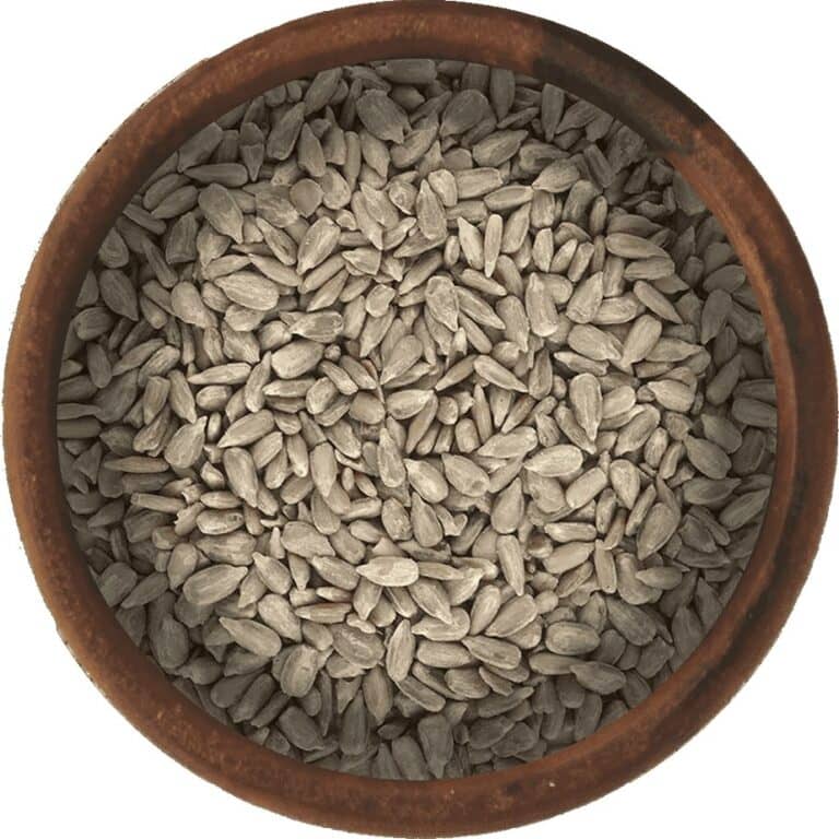 Bulk Raw Sunflower Seeds Wholesale Fresh Sunflower Seeds