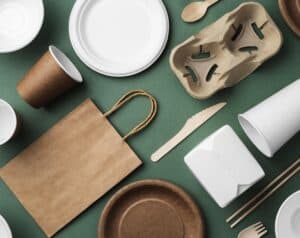 Sustainable Food Packaging And Silverware