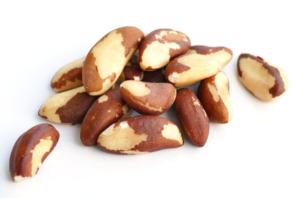 Food Value Of Nuts And Seeds Brazil Nuts
