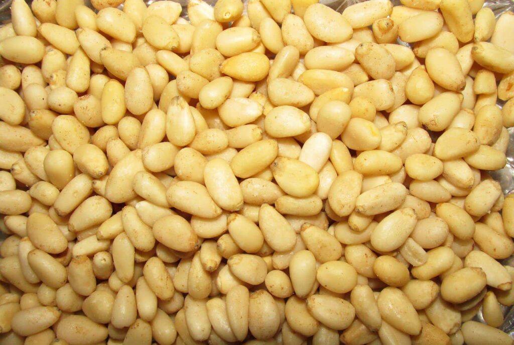 Medical Uses Of Pine Nuts Pine Nuts