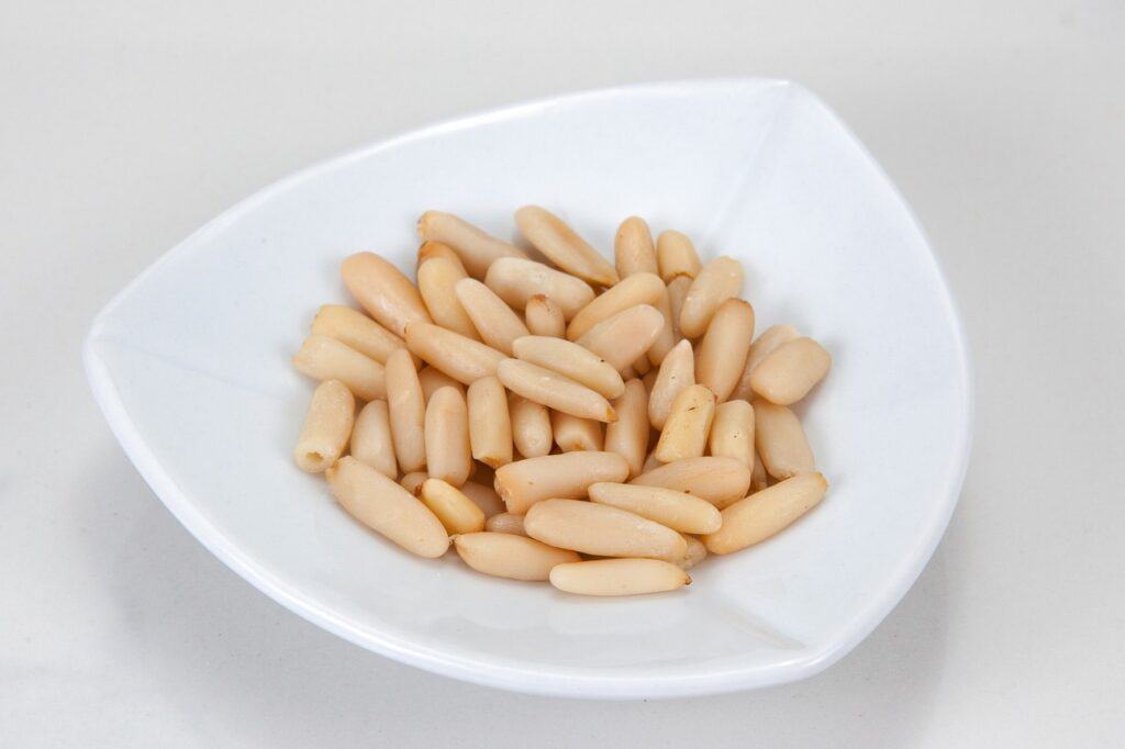Medical Uses Of Pine Nuts Quality Pine Nuts
