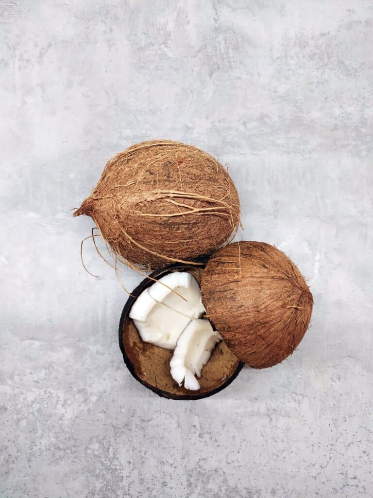 The History Of Coconuts Coconut
