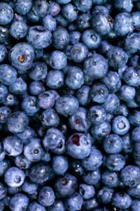 Blueberry Nutrition Data Blueberry 1