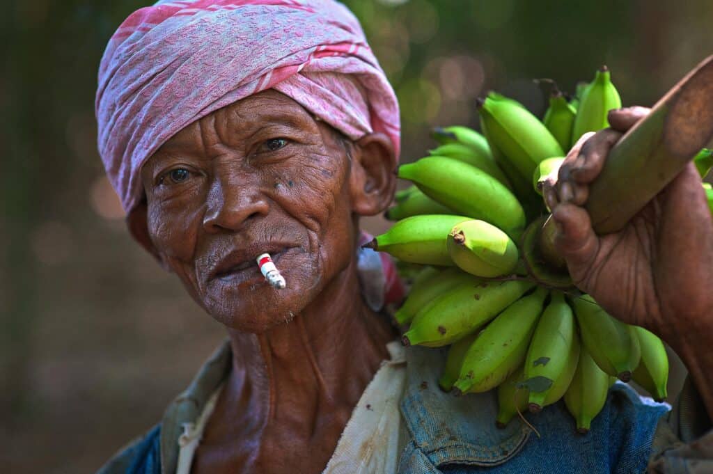 Transporting Bananas Worker On Banana Farm