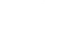 Wholesale Nuts and Dried Fruit