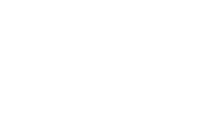 Wholesale Nuts and Dried Fruit