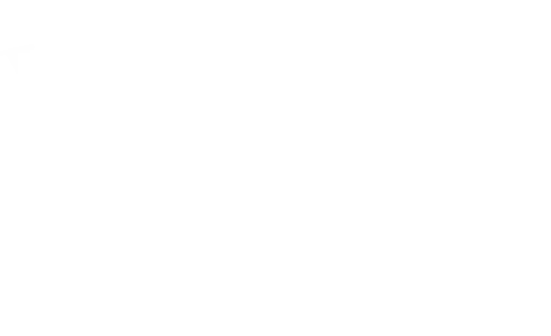 Wholesale Nuts and Dried Fruit